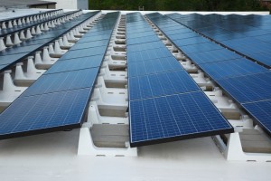 The DynoRaxx Evolution system can be seen on a flat rooftop. The four-legged basket acts as a spacer in between rows.
